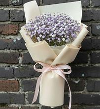 Букет цветов из:  Гипсофила в Поселок Пансионата Полушкино