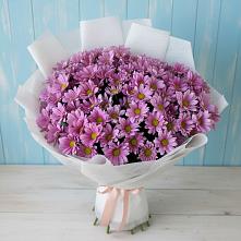 Букет цветов из:  Хризантемы в Поселок Пансионата Полушкино