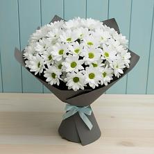 Букет цветов из:  Хризантемы в Поселок Пансионата Полушкино