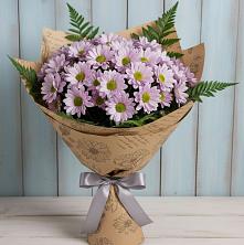 Букет цветов из:  Хризантемы в Поселок Пансионата Полушкино