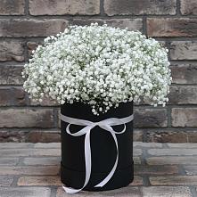 Цветочная композиция из Гипсофила в шляпной коробке #REPLACE_PRED# Поселок Пансионата Полушкино