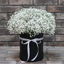 Цветочная композиция из Гипсофила в шляпной коробке в Поселок Пансионата Полушкино